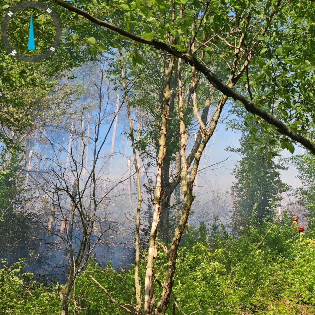 Incendii in 9 localitati bihorene 140 interventii ale pompierilor