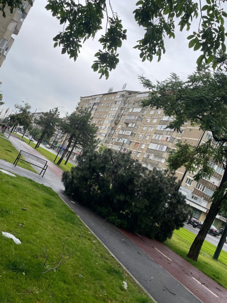 Mesaj Ro Alert Cod portocaliu de vreme rea in Bihor