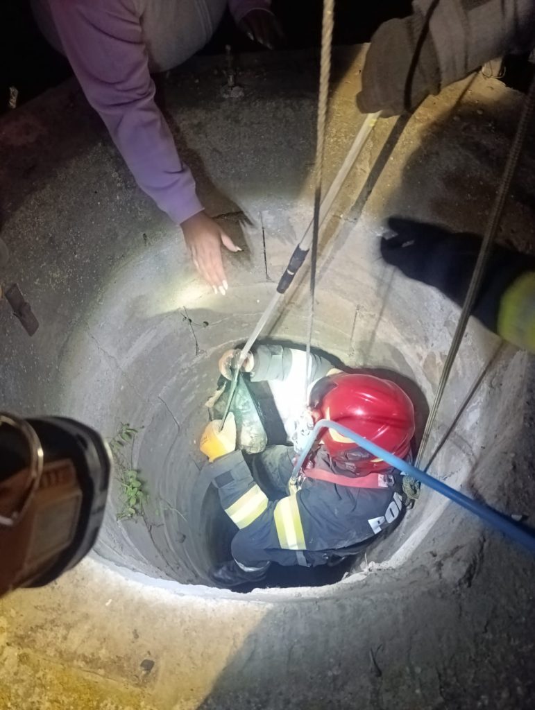 Pompierii din Bihor au salvat doua pisici dintr o fantana