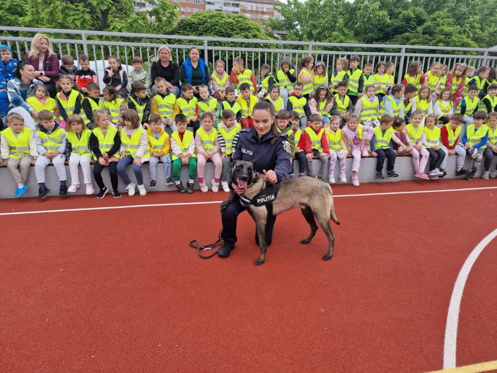 expoziie de desene teatru i demonstraii canine