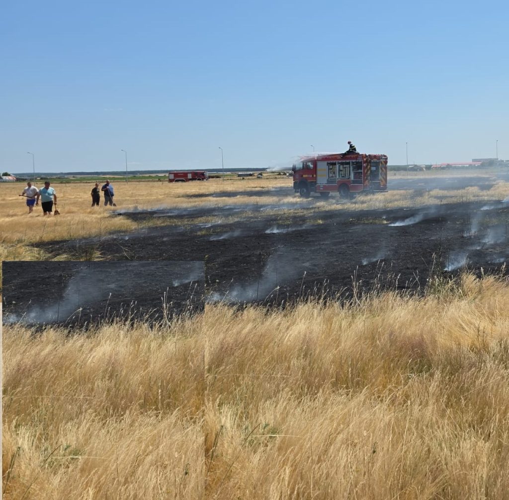 Incendiu de vegetatie la Nojorid