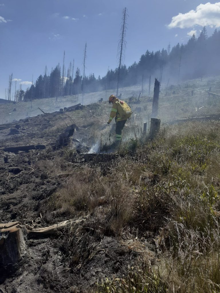 Incendiu forestier in comuna Remeti