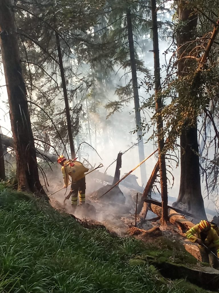 incendii multe in vacanta de rusalii 120 interventii pompieri