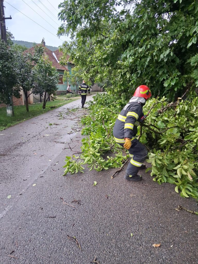 Furtuna in Bihor copaci si stalpi cazuti