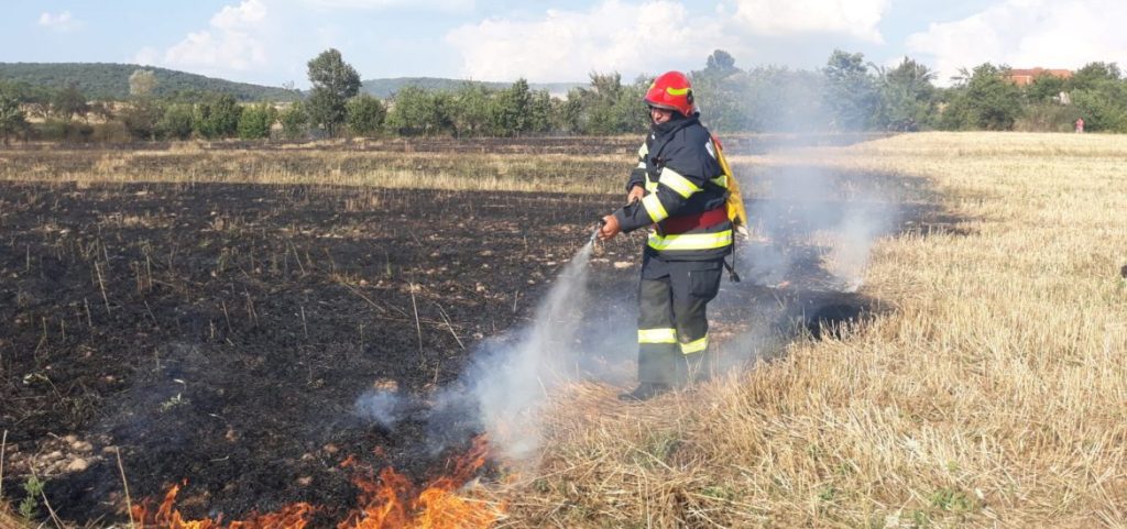 Incendii la culturi agricole in Olosig Iteu Nou Ghiorac