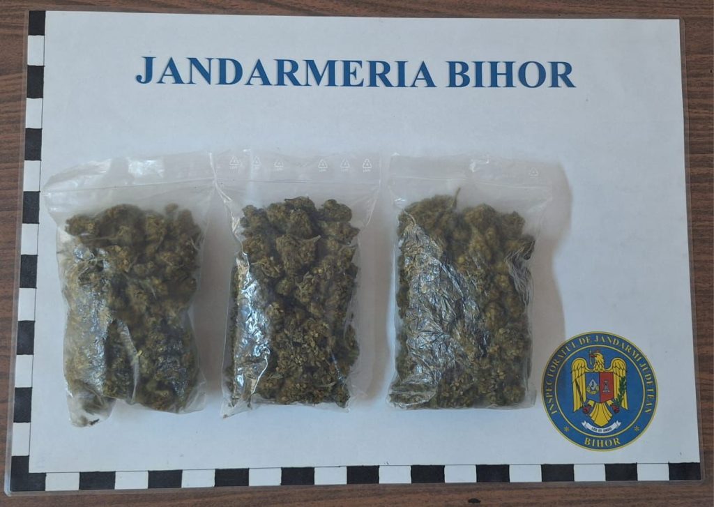Tanr de 18 ani prins cu droguri ncercat s fug