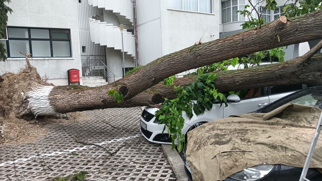 Urmarele furtunii masini distruse si stalpi doborati