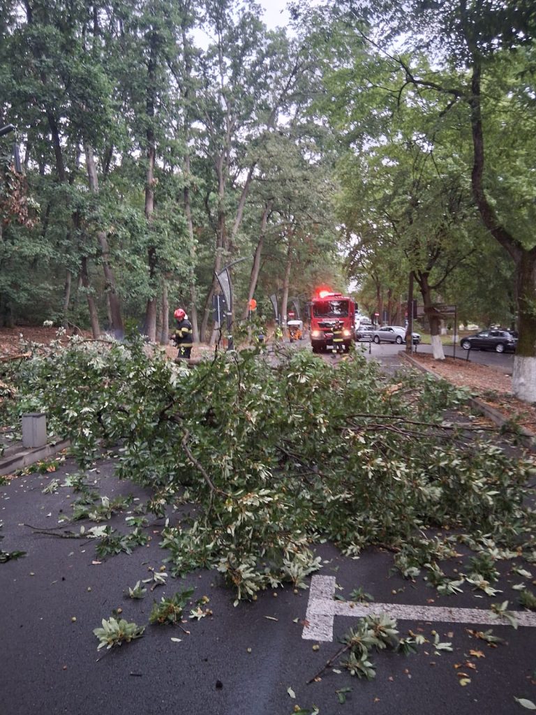 Vremea rea a creat probleme in Bihor duminica