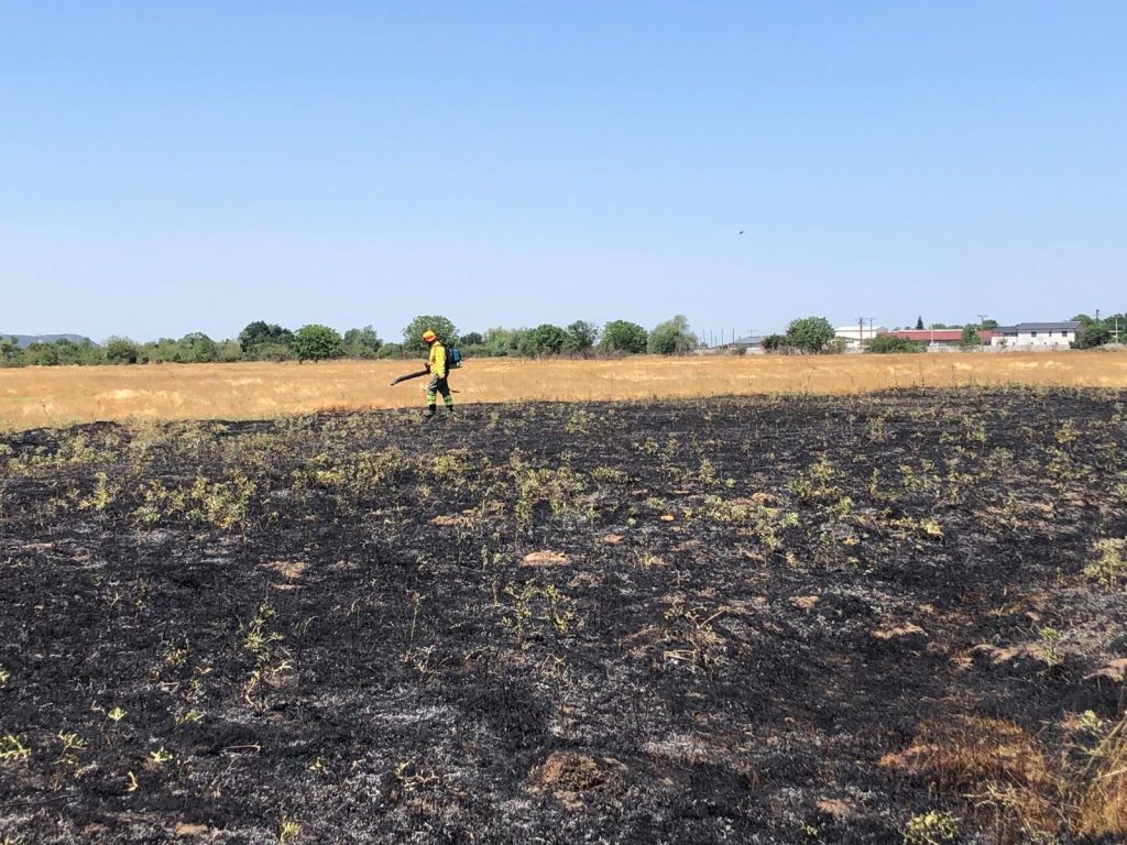 incendiu de vegetatie in les pe o suprafata mare