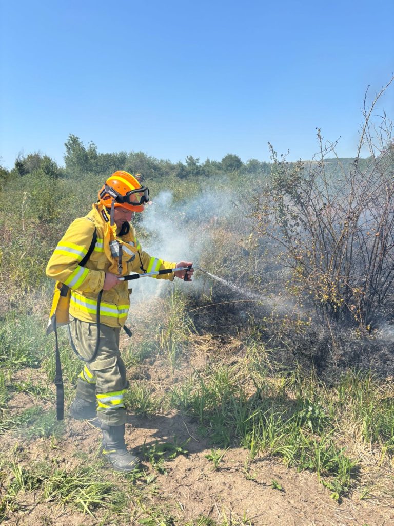 Incendiu in Lugasu de Sus 22 hectare afectate