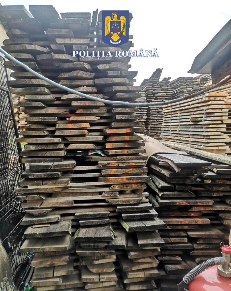 Dosar penal pentru delict silvic de 54000 lei